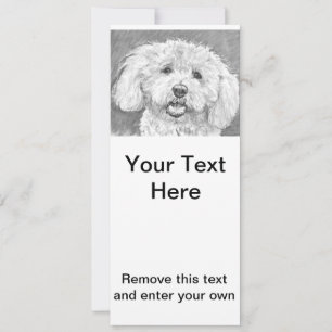 Carte Bichon Frise Dessin