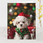 Carte Bichon Frise Elf Puppy Christmas Card (Fleur jaune)