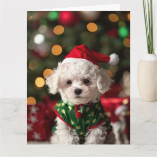 Carte Bichon Frise Elf Puppy Christmas Card