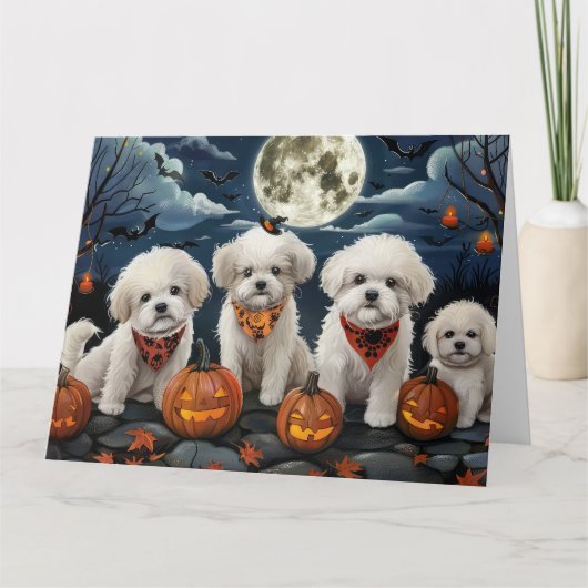 Carte Bichon Frise Halloween Épouvantable (Devant)