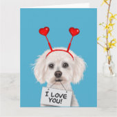 Carte Bichon Frise "Je t'aime" Saint-Valentin (Fleur jaune)