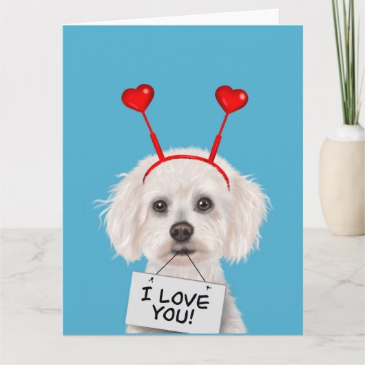 Carte Bichon Frise "Je t'aime" Saint-Valentin (Devant)