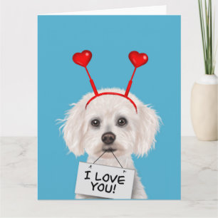 Carte Bichon Frise "Je t'aime" Saint-Valentin
