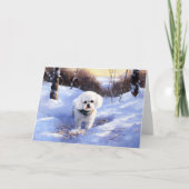 Carte Bichon Frise Laisser neiger Noël (Devant)