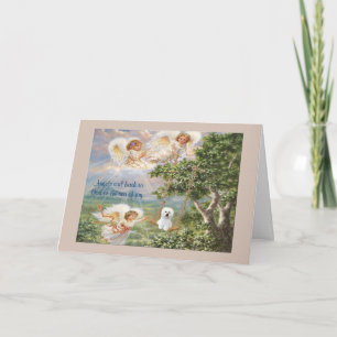 Carte Bichon Frise Sympathy Card