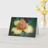 Carte Bicolor Iris (Tan & Jaune) (Fleur jaune)