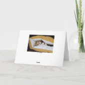 Carte Bien Bientôt Orange Tabby Kitten (Dos)