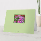 CARTE BIEN RÉALISER DU GROUPE/FLORAL/SURDIMENSIONNÉ (Dos)