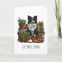 Bien Se Bien Bientôt Bordure Collie Jardinage