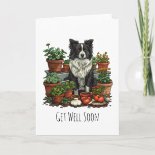 Carte Bien Se Bien Bientôt Bordure Collie Jardinage