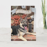 Bienvenue à la retraite chien chanceux