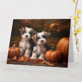 Carte Biewer Terrier Chiot Automne Citrouille délice (Fleur jaune)