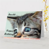 Carte Big Birthday Card Cute Kitten dit heureux Annivers (Fleur jaune)