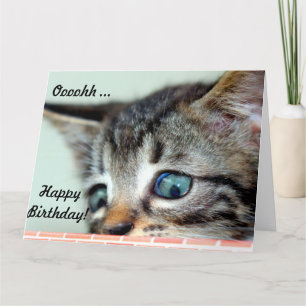 Carte Big Birthday Card Cute Kitten dit heureux Annivers