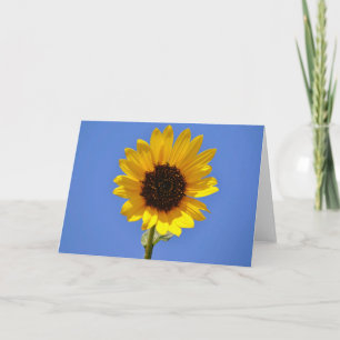 Carte Big Blue Sky et Wild Sunflower Note Card