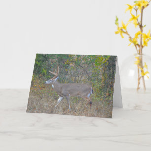 Carte Big Buck Deer au Texas Art Note Card