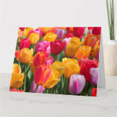 Carte Big Card Spring (Devant)