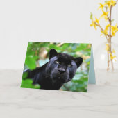 Carte Big Cats Set - 4 (Fleur jaune)