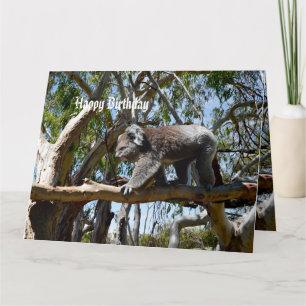 Carte Big Homme Koala Oear Tightrope Walker, Big Birday