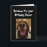 Carte Big Nose Chien drôle Anniversaire Soeur Aimer Chie<br><div class="desc">Sister Because it's your Birthday and I nose it that's why you're getting this card. Happy Birthday</div>