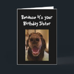 Carte Big Nose Chien drôle Anniversaire Soeur Aimer Chie<br><div class="desc">Sister Because it's your Birthday and I nose it that's why you're getting this card. Happy Birthday</div>