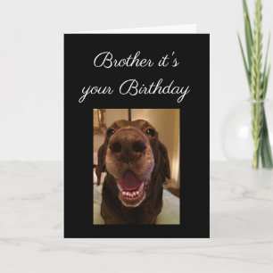 Carte Big Nose Chien Funny Frère Anniversaire Amour Chie