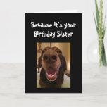 Carte Big Nose Dog Funny Birthday Sister Love Dog<br><div class="desc">Sister Because it's your Birthday and I nose it that's why you're getting this card.   Happy Birthday cute Fun Big Nose Dog Animal fun</div>