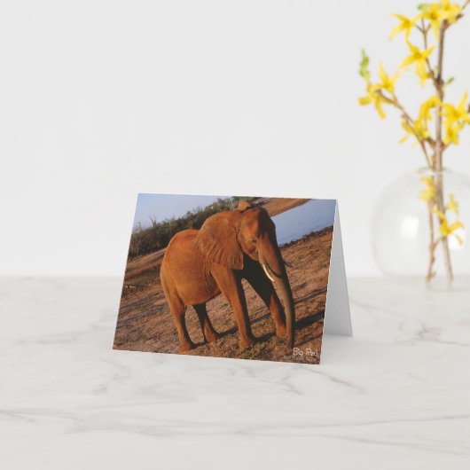 Carte Big Red Elephant Note (Fleur jaune)