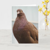 Carte Big Red Pigeon (Fleur jaune)