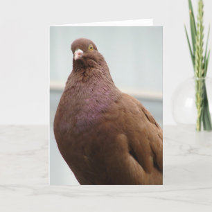 Carte Big Red Pigeon