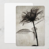 Carte Big Vintage X-Ray (Devant / Derrière)