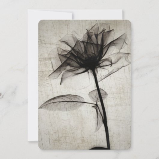 Carte Big Vintage X-Ray (Devant)