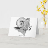 Carte Bighorn Sheep (Fleur jaune)
