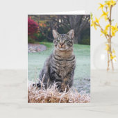 Carte Bijou sur la paille (Fleur jaune)