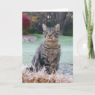 Carte Bijou sur la paille