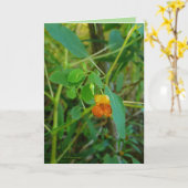 Carte Bijoux (Fleur jaune)