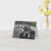 Carte BIKER Schnauzer Minature (Fleur jaune)