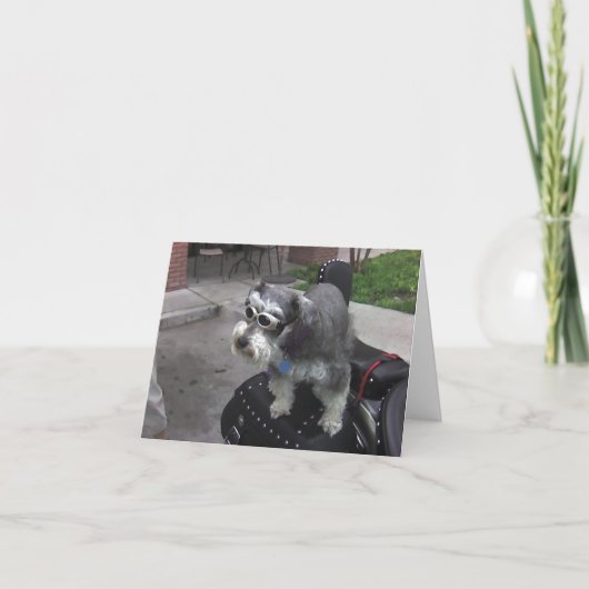 Carte BIKER Schnauzer Minature (Devant)