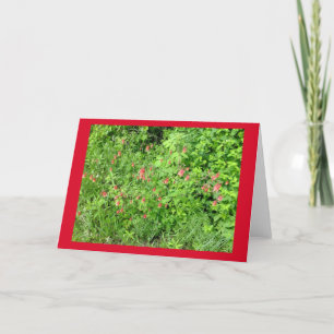 Carte Billet de Columbine