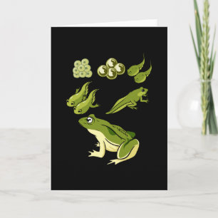 Carte Biologie - Cycle de vie de la grenouille