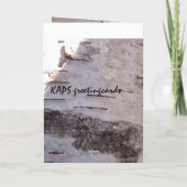 Carte Birch Bark Anniversaire Humoristique (Dos)