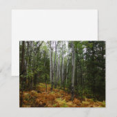 Carte Birch Trees blancs et fougères d'automne à Rocky M (Devant / Derrière)