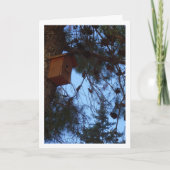 Carte Bird House dans le portrait d'arbre à pin (Devant)