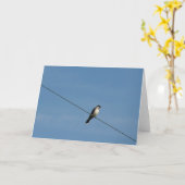 Carte Bird on a Wire Photo (Fleur jaune)