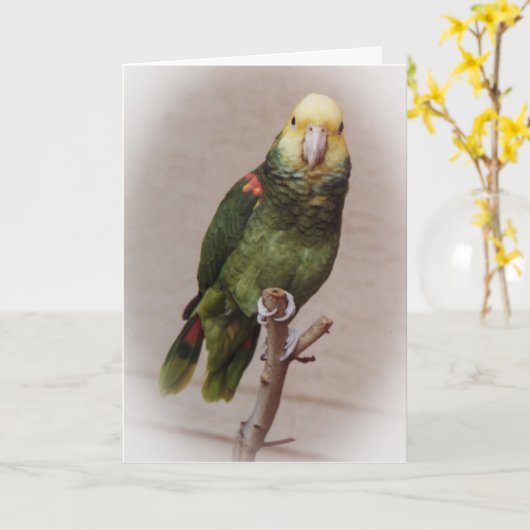Carte Bird Sympathy Card (Fleur jaune)