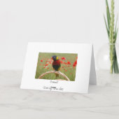 Carte Birdday heureux ! (Dos)