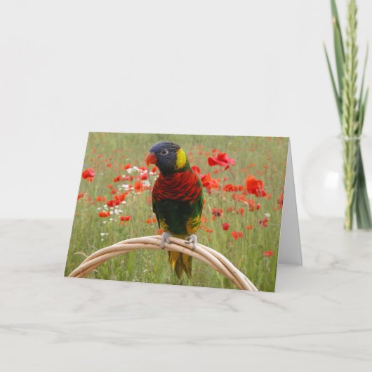 Carte Birdday heureux ! (Devant)