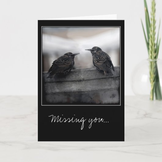 Carte Birds on Missing You greeting (Devant)