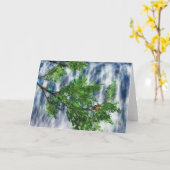 Carte Birdsnest Falls (Fleur jaune)