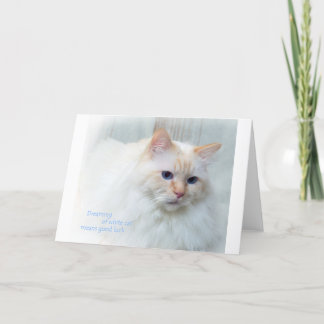 Carte Birman Cat